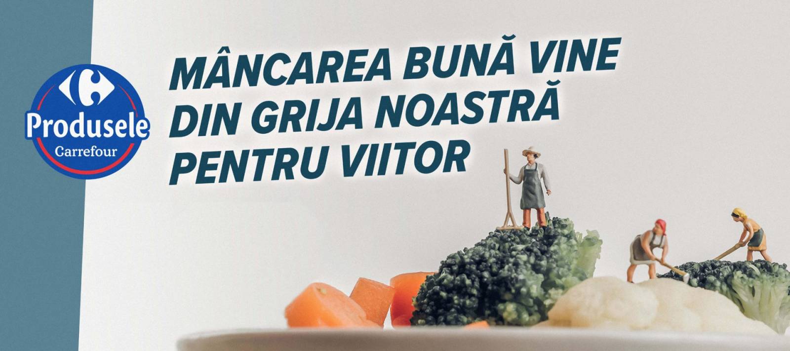 Carrefour - Saptamanile Tranzitiei Alimentare