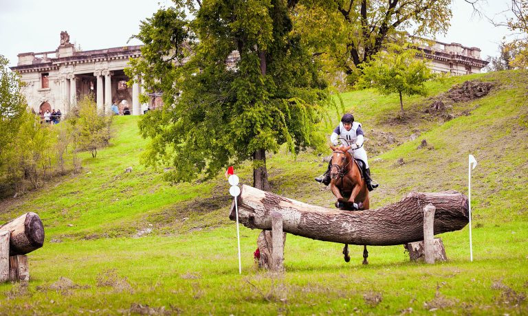 Karpatia Horse Show