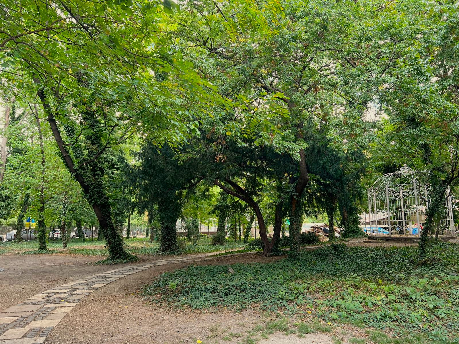 Fundația Eidos și UNFINISHED vor revitaliza mobilierul, spațiile verzi și galeriile de sere din Grădina Casei Universitarilor