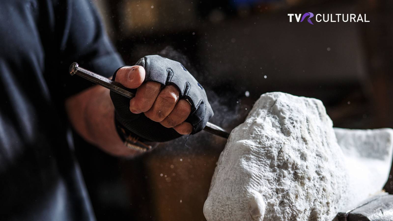 TVR Cultural revine în grila de programe, după 10 ani. CNA a aprobat acordarea licenței