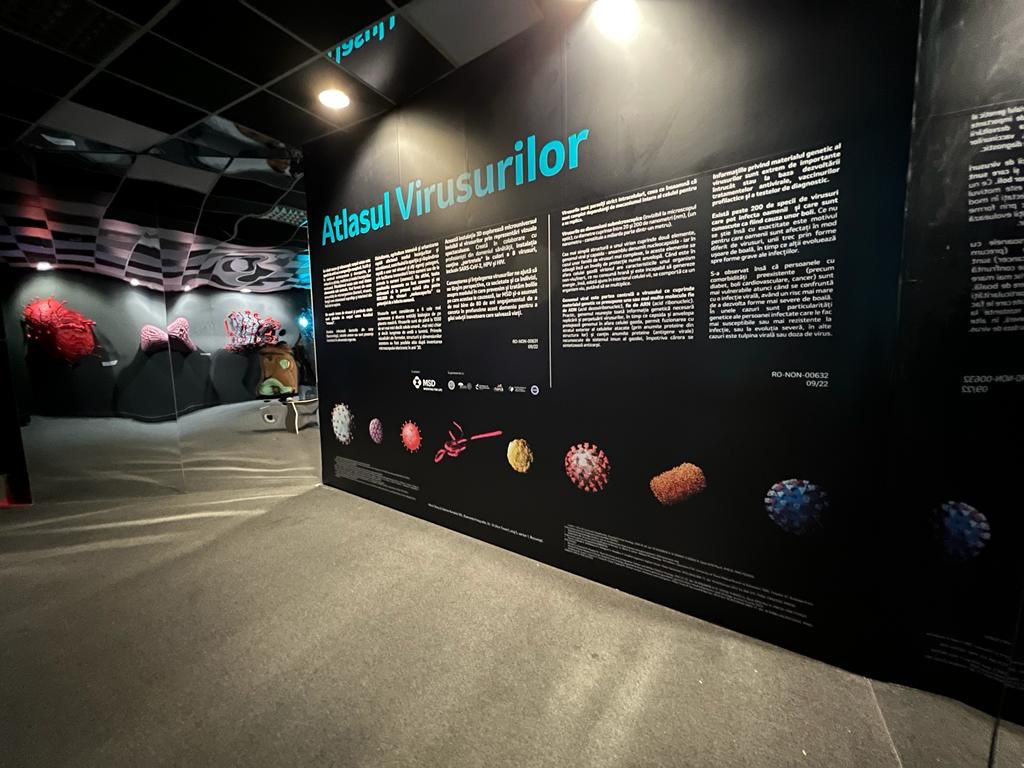 Prima expoziție 3D din România care explorează universul virusurilor, lansată la Art Safari