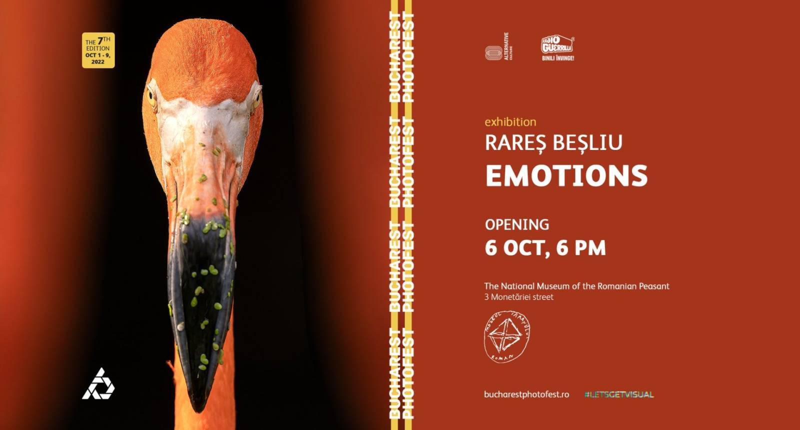 Bucharest Photofest 2022 Exhibition Emotions Rares Besliu