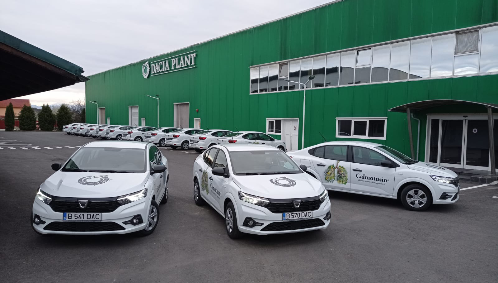 Dacia Plant