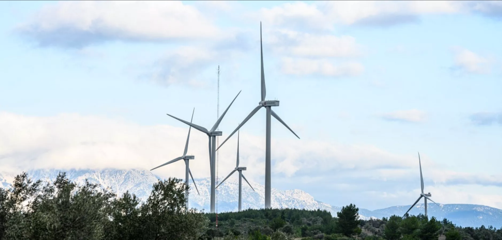 Electromontaj va construi cel mai mare parc eolian din regiunea Moldovei