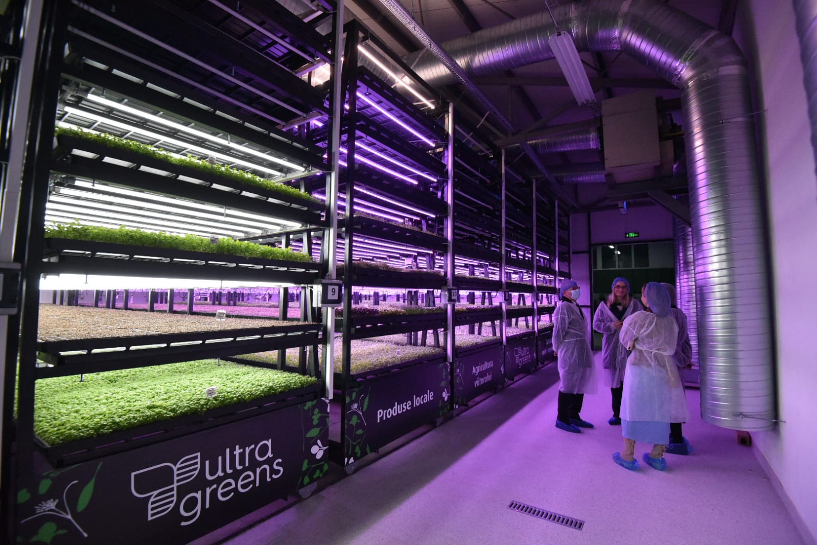Ultragreens