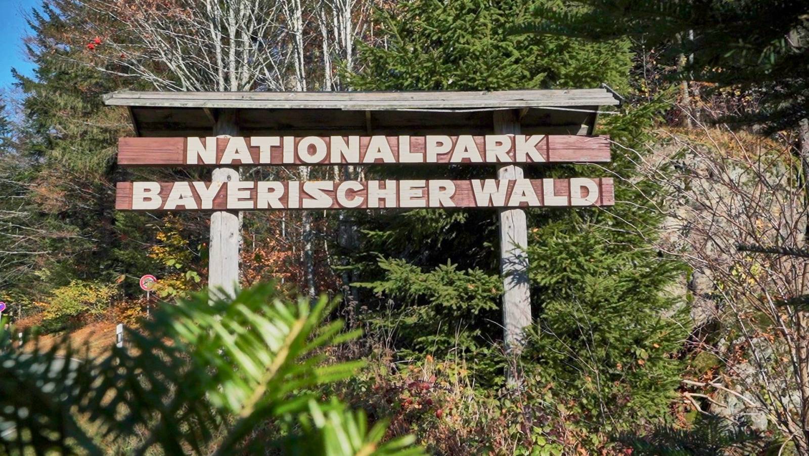 Cel mai mare parc național din Germania susține Fundația Conservation Carpathia, printr-un parteneri...