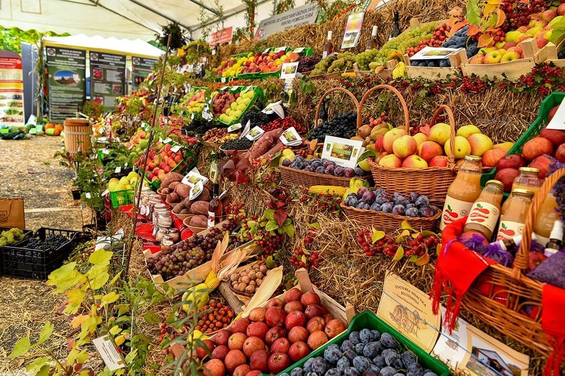 Toamna Horticolă Bucureșteană are loc între 6 și 9 octombrie 2022