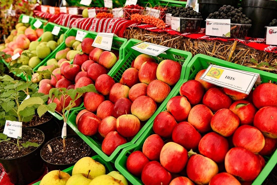 Toamna Horticolă Bucureșteană, aflată la a patra ediție, își deschide porțile între 6 și 9 octombrie 2022