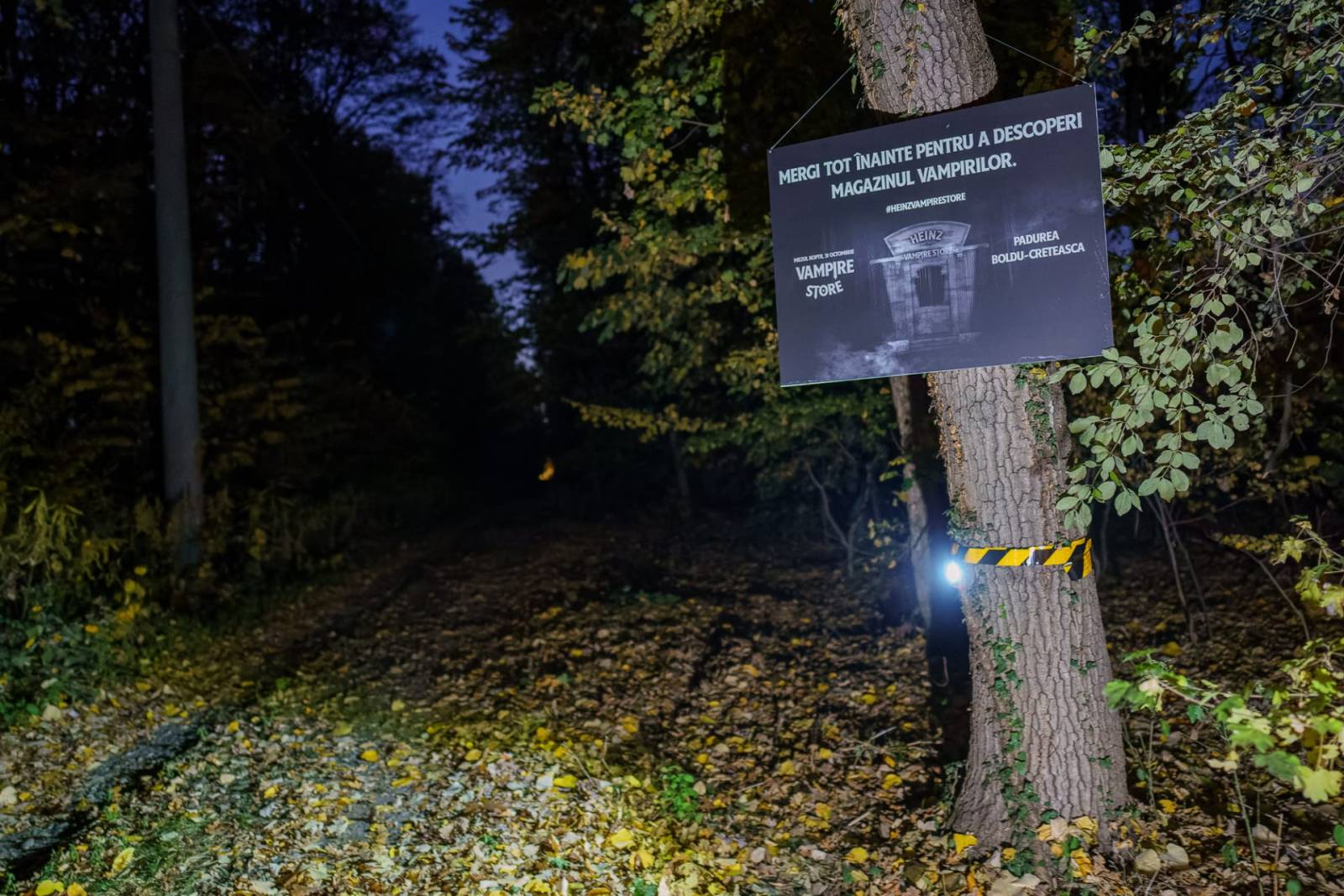 313433506 553317533466299 1529291200041475088 n