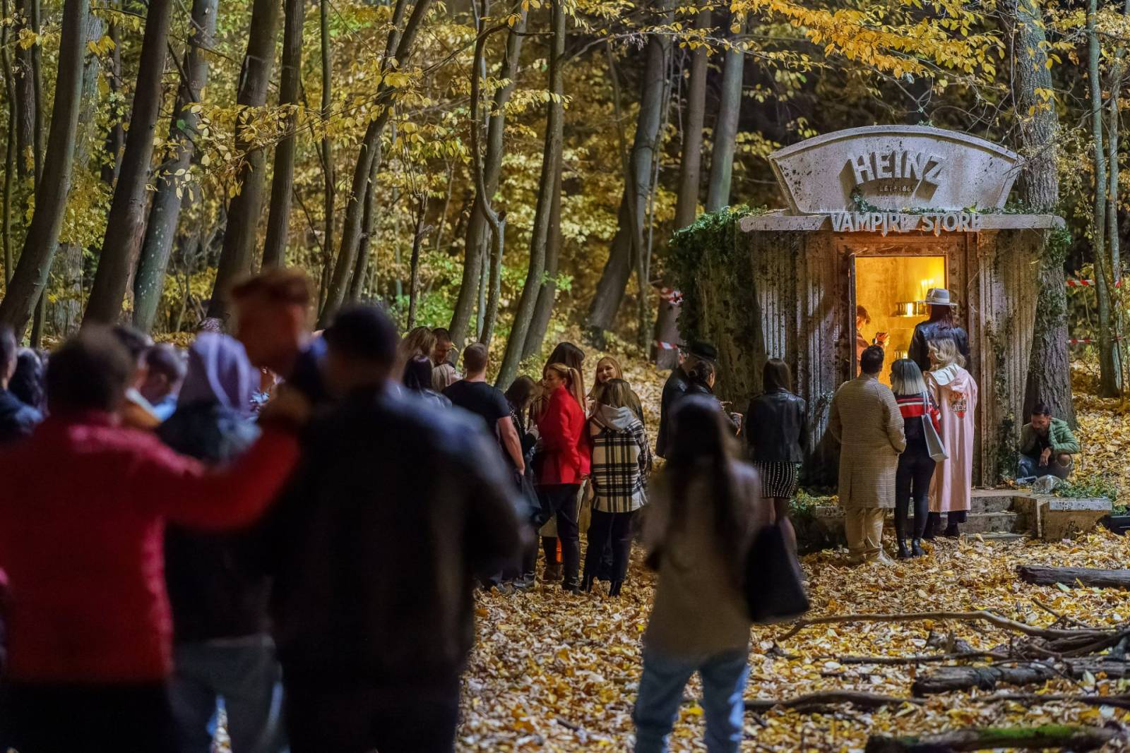 313436862 553312880133431 8307509825544454706 n