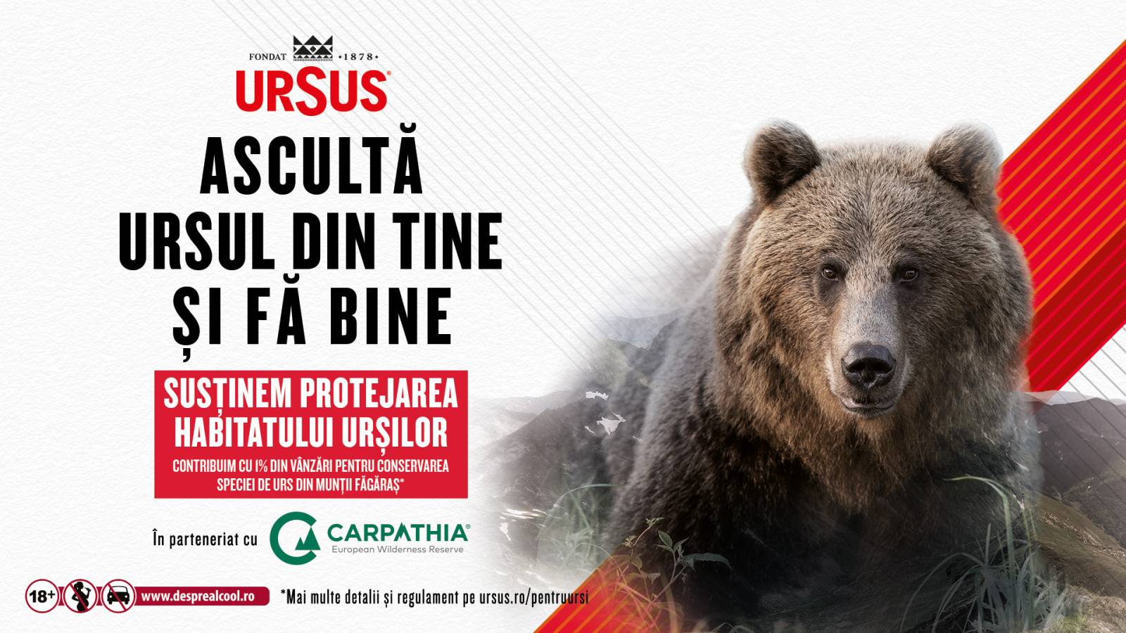 URSUS contribuie cu 1% din vânzări pentru protejarea habitatului urșilor din Munții Făgăraș