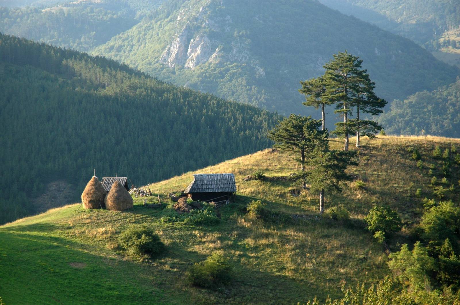 Undă verde pentru decarbonizare