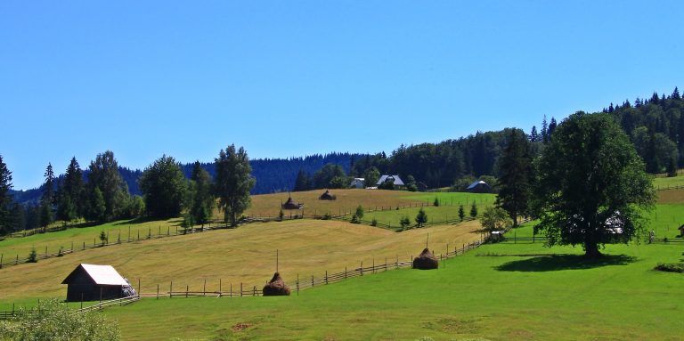 sinziana mihalache nQryhS 5LRo unsplash