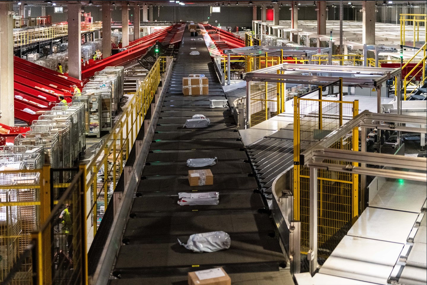 Afacerile Sameday Group, în creștere cu 28%, depășind 800 de milioane de lei