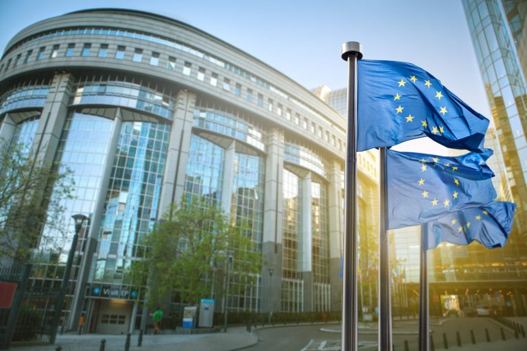 parlamentul european