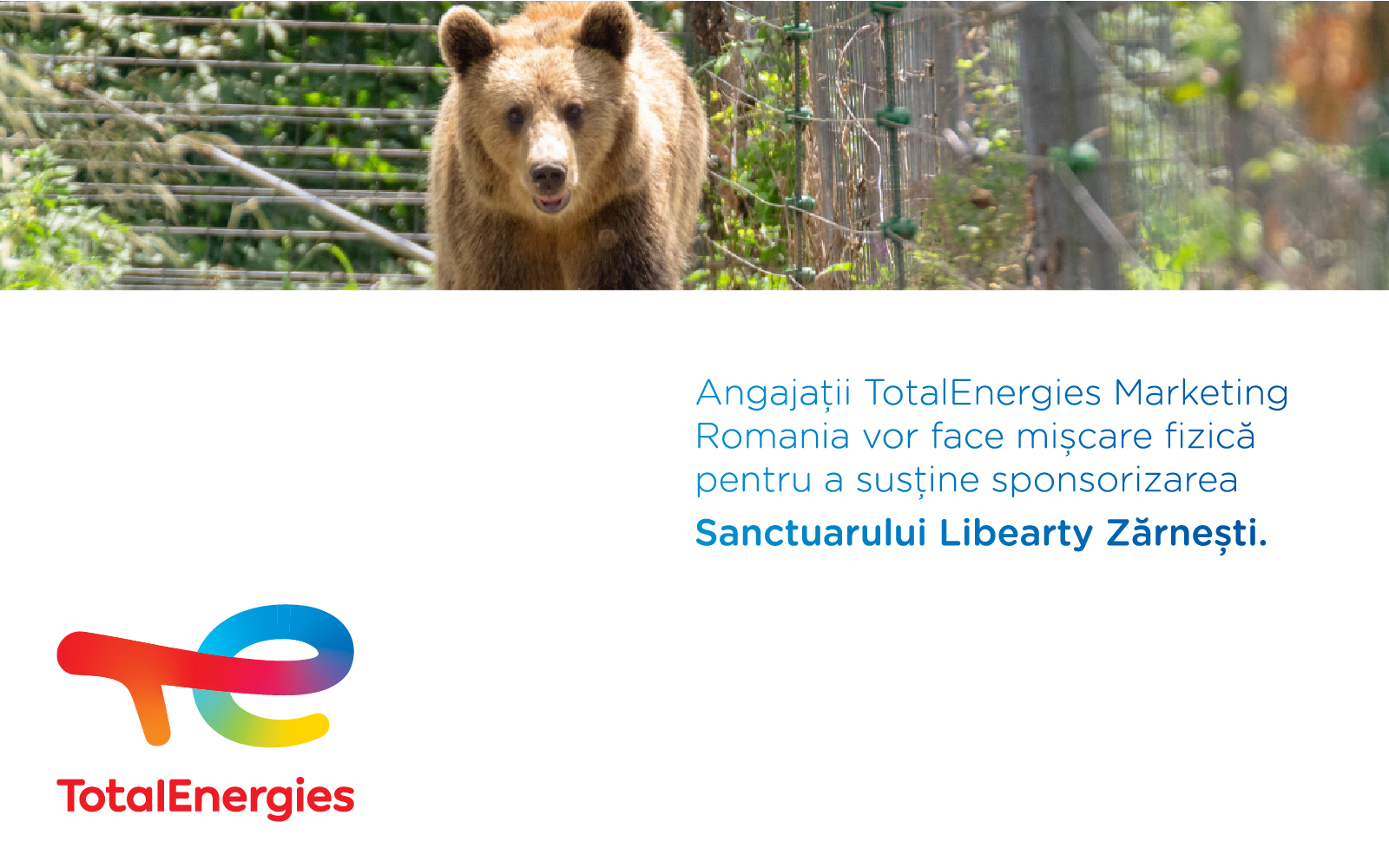 Angajații TotalEnergies Marketing România au acceptat Provocarea Celor Zece Milioane de Pași