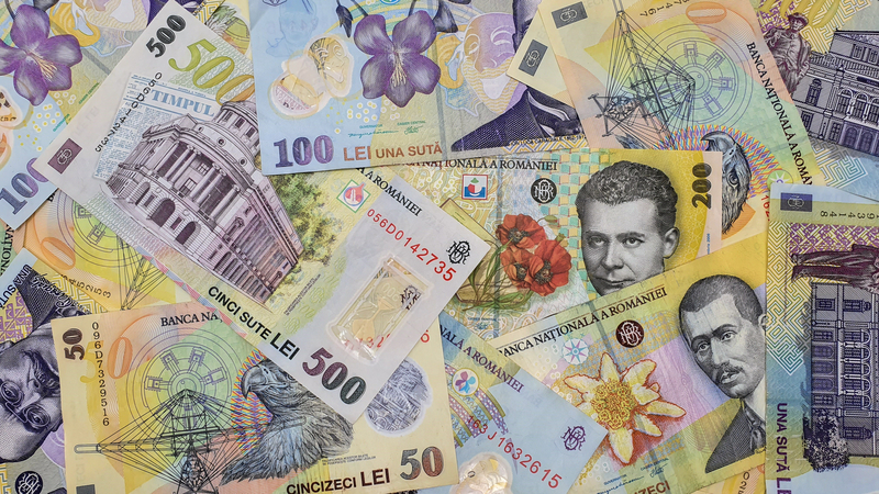 Ce salarii au angajații din sectorul de service și reparații