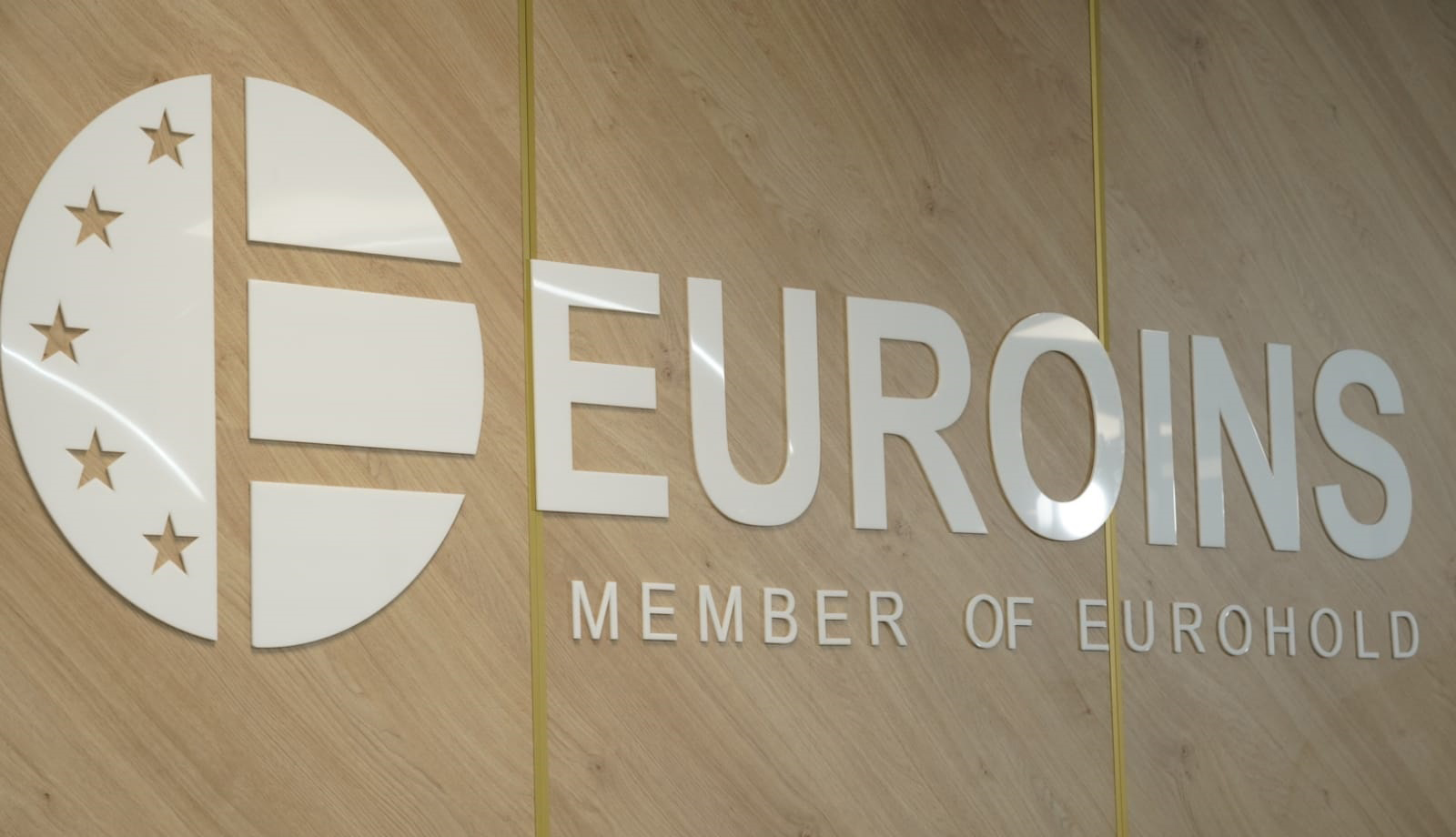 Lichidatorul judiciar al Euroins a obținut decizii favorabile în instanță 3 Euroins