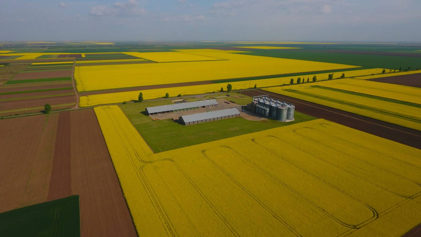 Danezii de la Agro Cocora investesc 10 mil. euro în ferma din Constanța