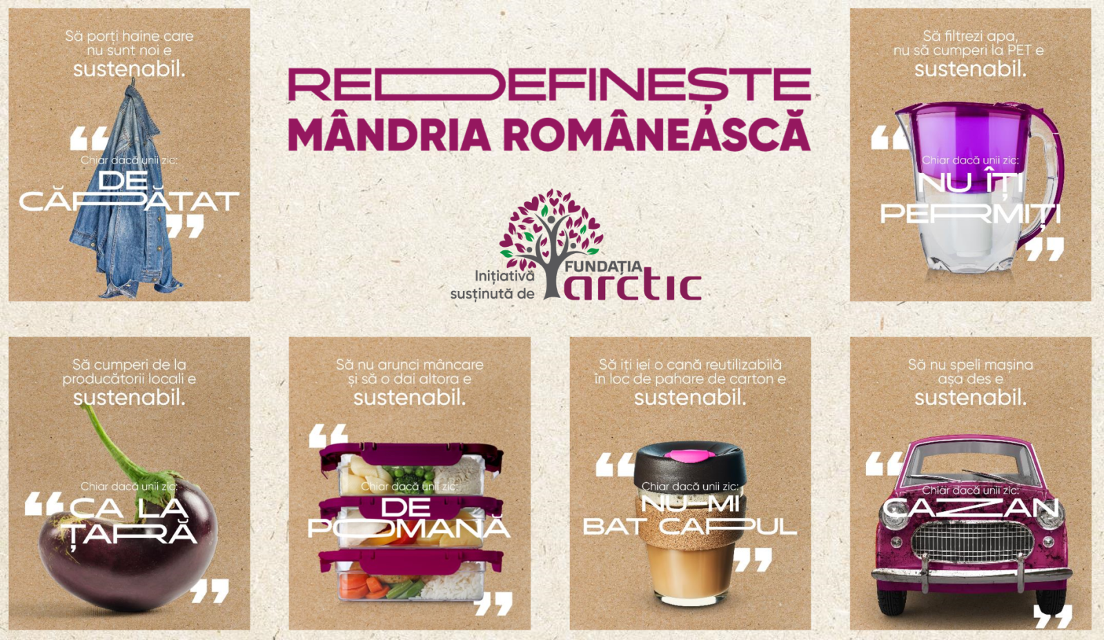 KVRedefinesteMandriaRomaneasca Arctic