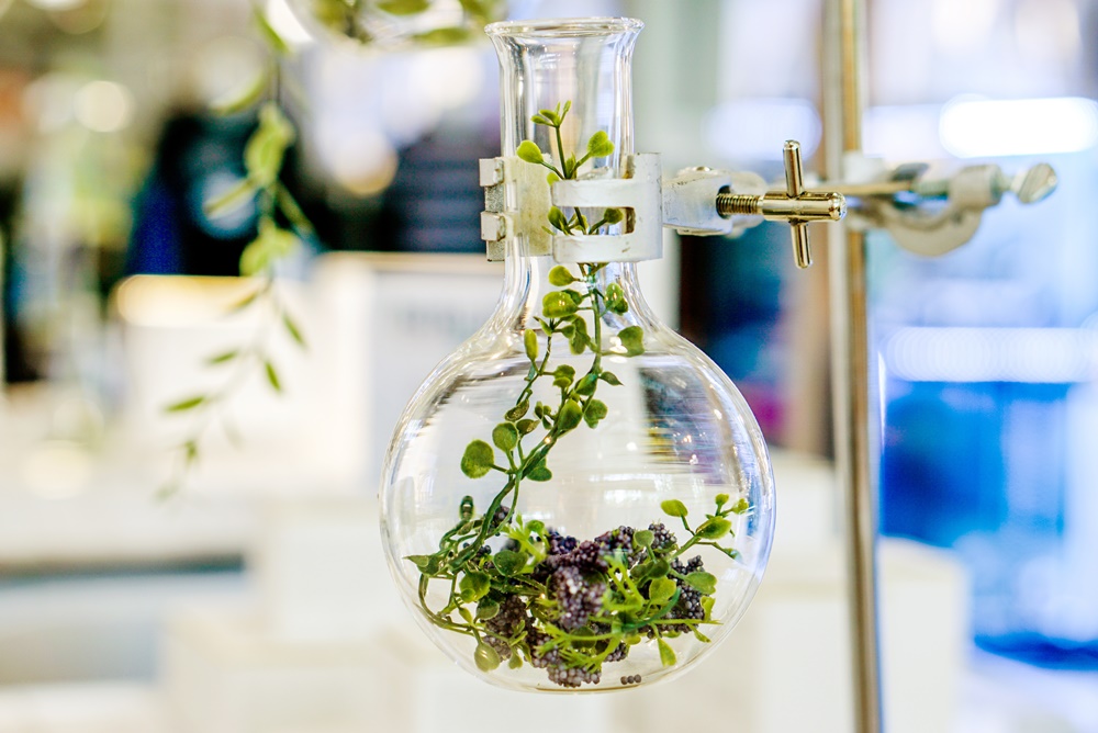 L'Oréal investește într-o companie de biotehnologie