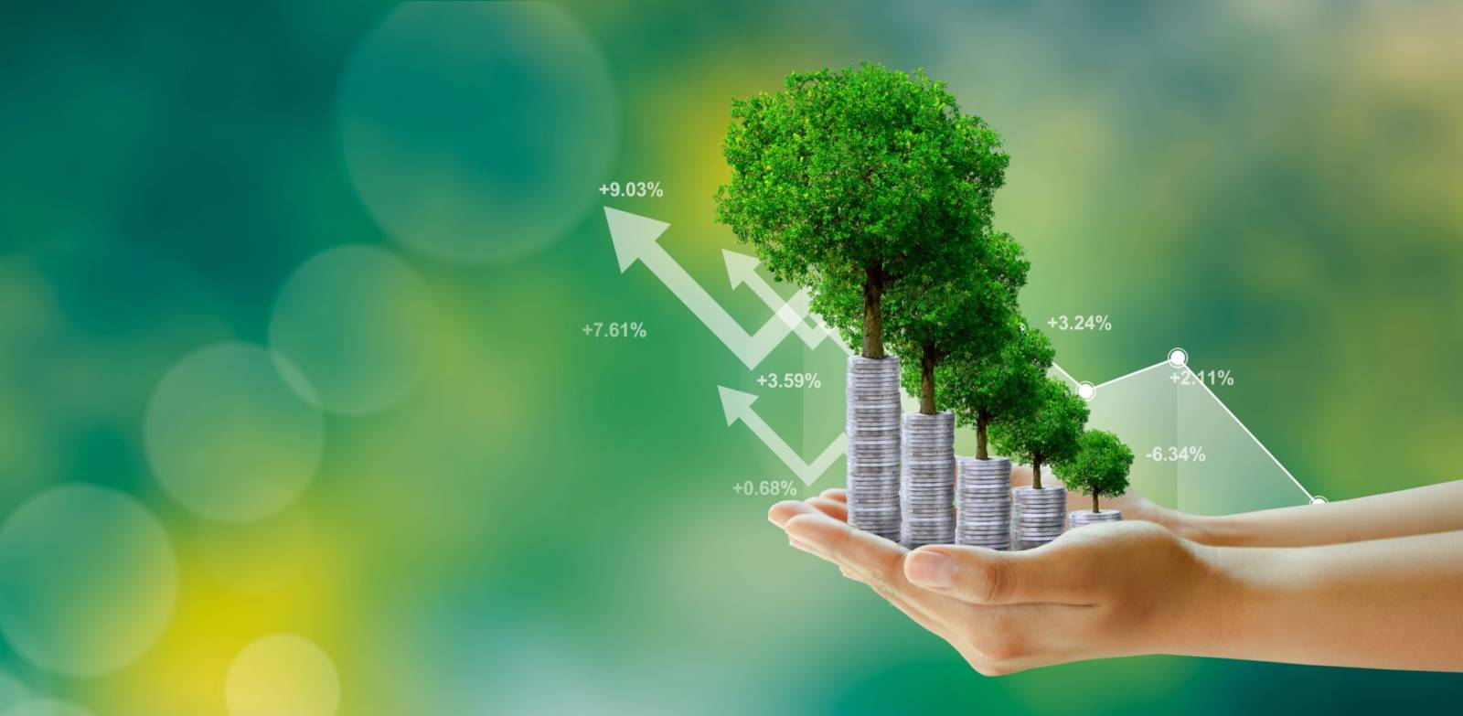 Bergenbier lansează cea de-a șaptea ediție a Raportului de Sustenabilitate 2 Sustainability Meets Profitability