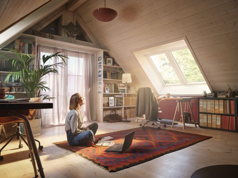 VELUX 1