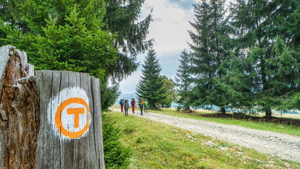 Via Transilvanica