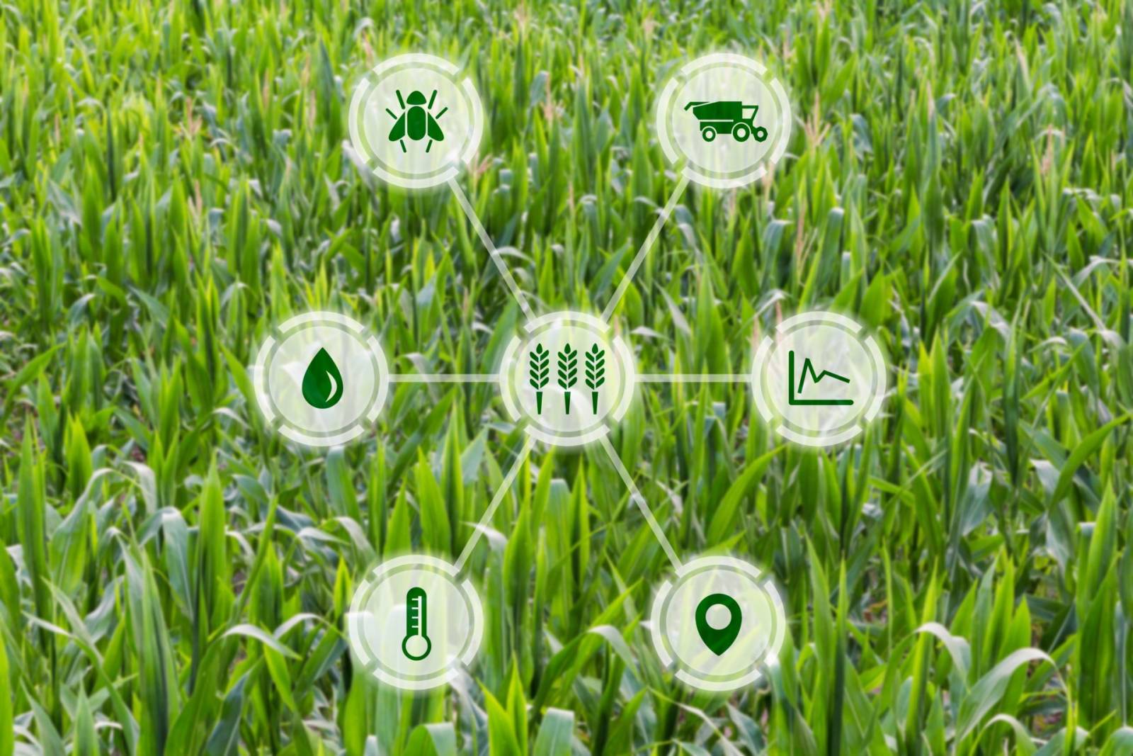 agritech