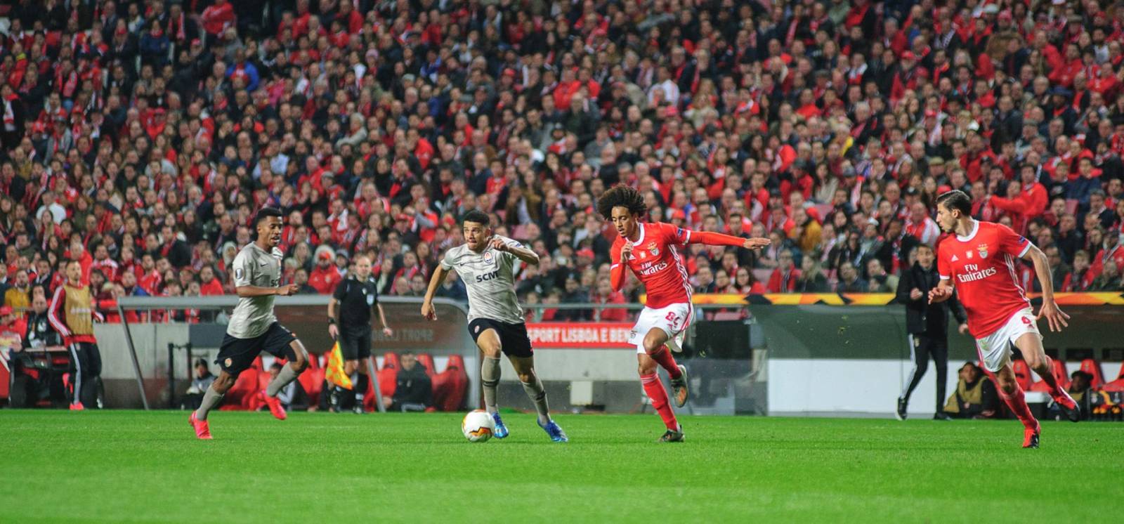 fotbal