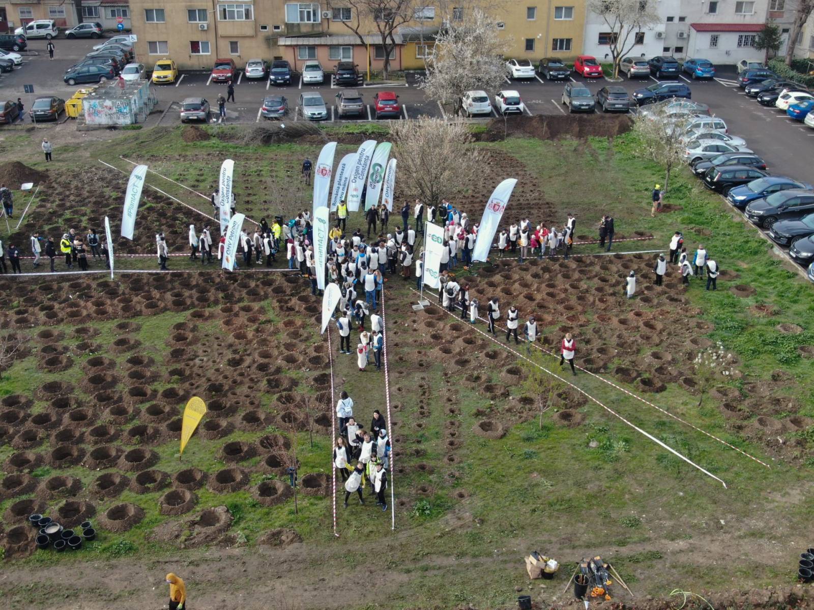Prima mini-pădure urbană din Constanța a fost plantată în zona Marvimex