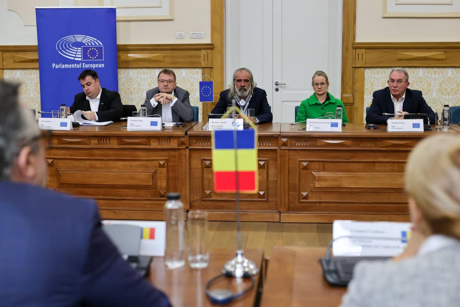 Care au fost principalele concluzii ale vizitei Comisiei pentru Cultură și Educație (CULT) din Parlamentul European la Timișoara 1 Seba Tataru 7