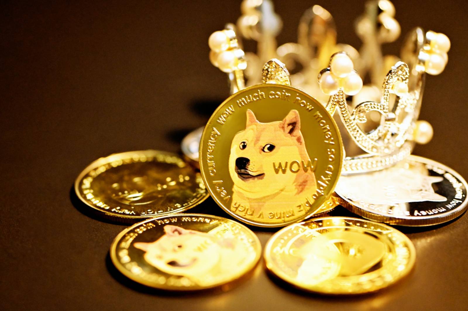 Twitter crește căutările pentru Shiba Inu și Dogecoin