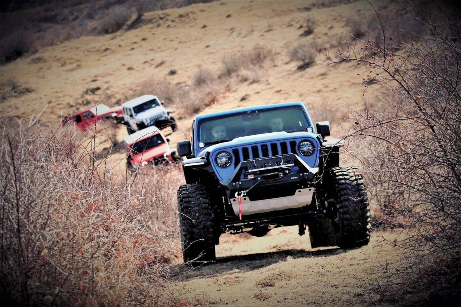 273848086 5529454097071736 1306932213492515178 n