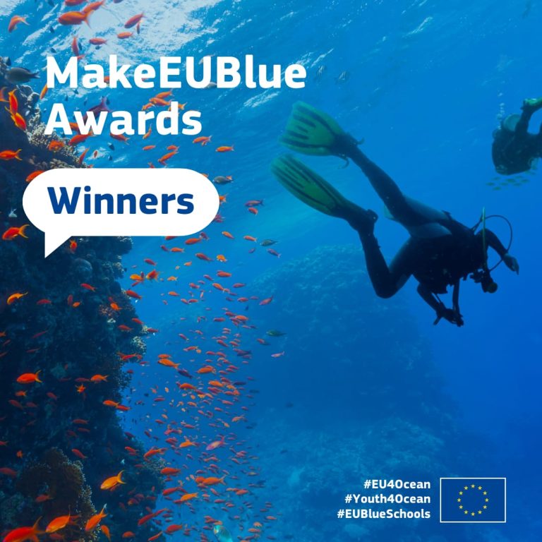 MakeEUBlueAwards 2023