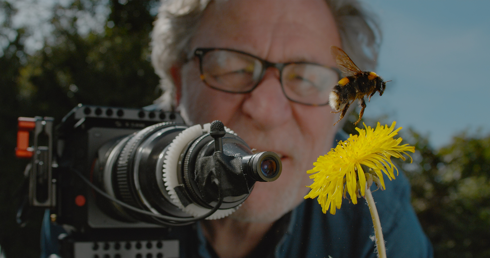 LYNX, primul festival românesc dedicat filmului documentar și fotografiei de natură