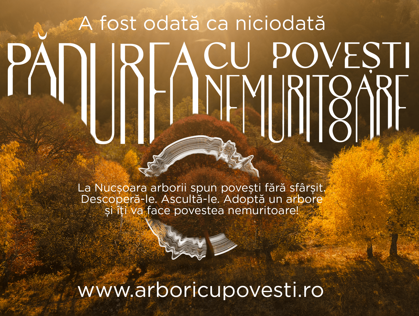 2544 de fagi seculari pot fi adoptați în cadrul „Pădurii Poveștilor Nemuritoare” 1 Padurea cu povesti nemuritoare 2