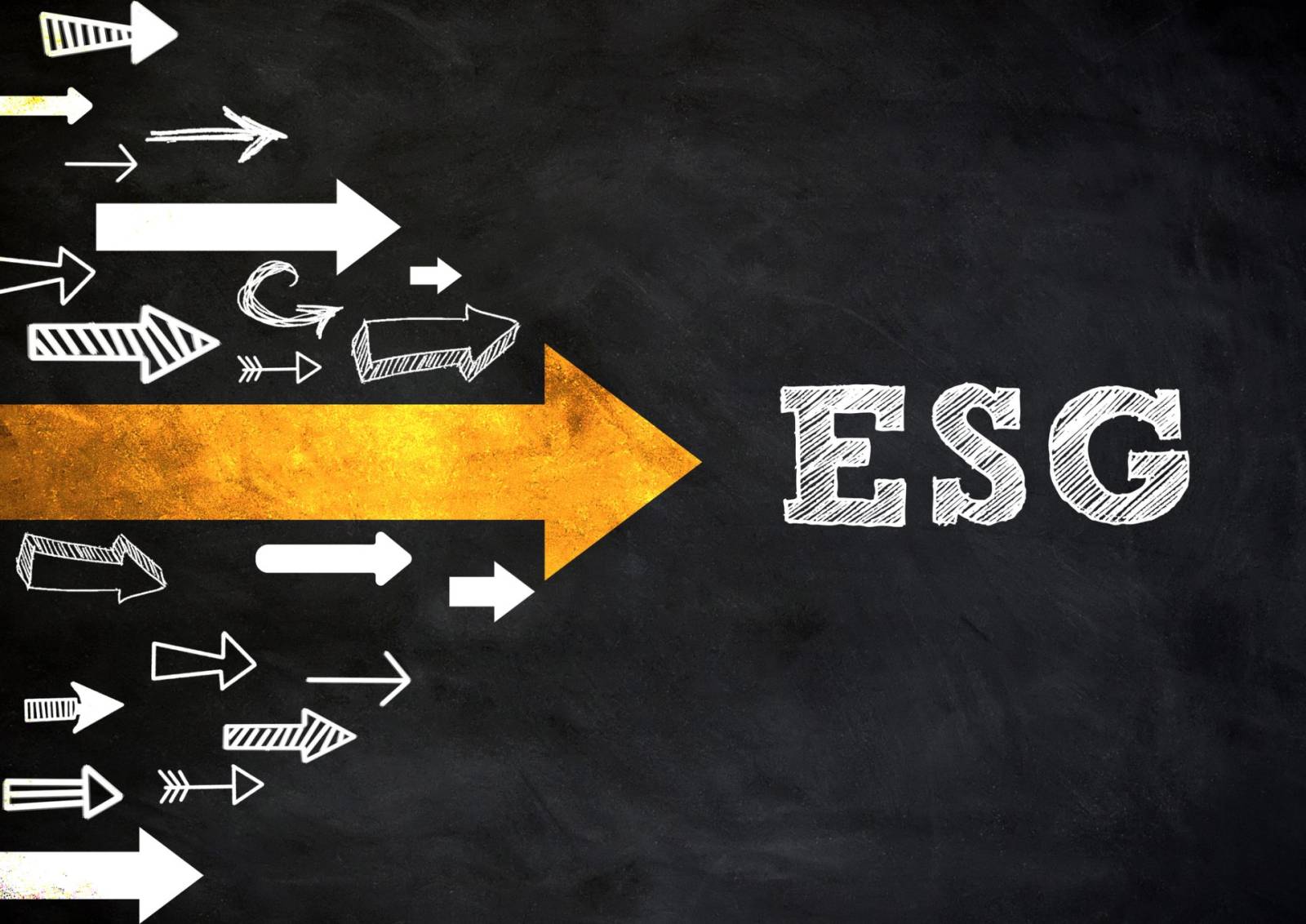 esg