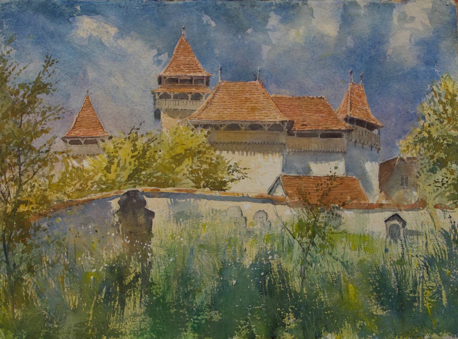 Pictorul britanic Tim Scott Bolton, artistul botanic Helen Allen și botanistul John Akeroyd în vizit...
