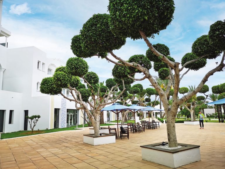 The Mirage Resort & SPA