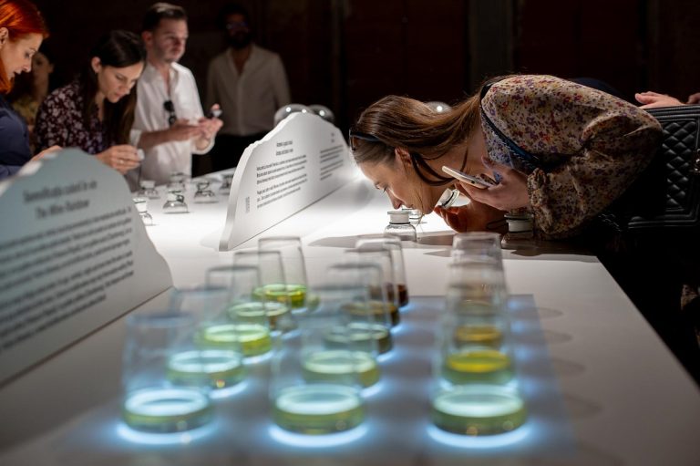 Bufetul simturilor Cramele Recas 9