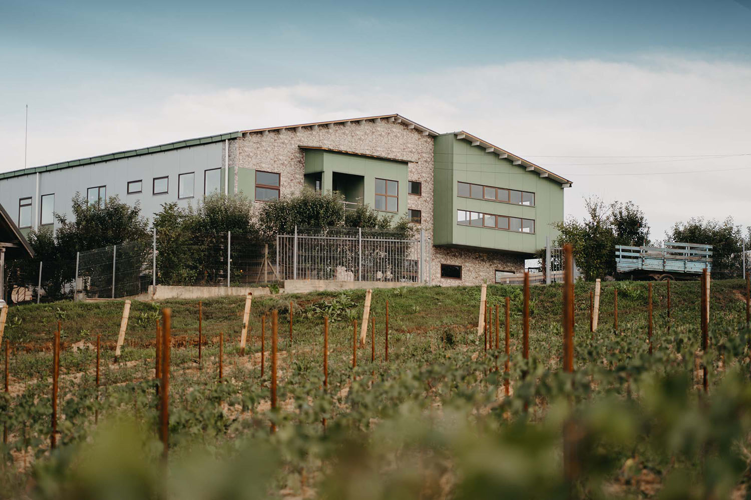 GRAMMA Wines câștigă Best Winery Design la Balkans International Wine Competition și are planuri de extindere a culturii de vie 3 GRAMMA Wines crama