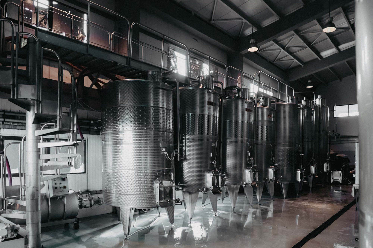 GRAMMA Wines câștigă Best Winery Design la Balkans International Wine Competition și are planuri de extindere a culturii de vie 2 GRAMMA Wines vinificatie