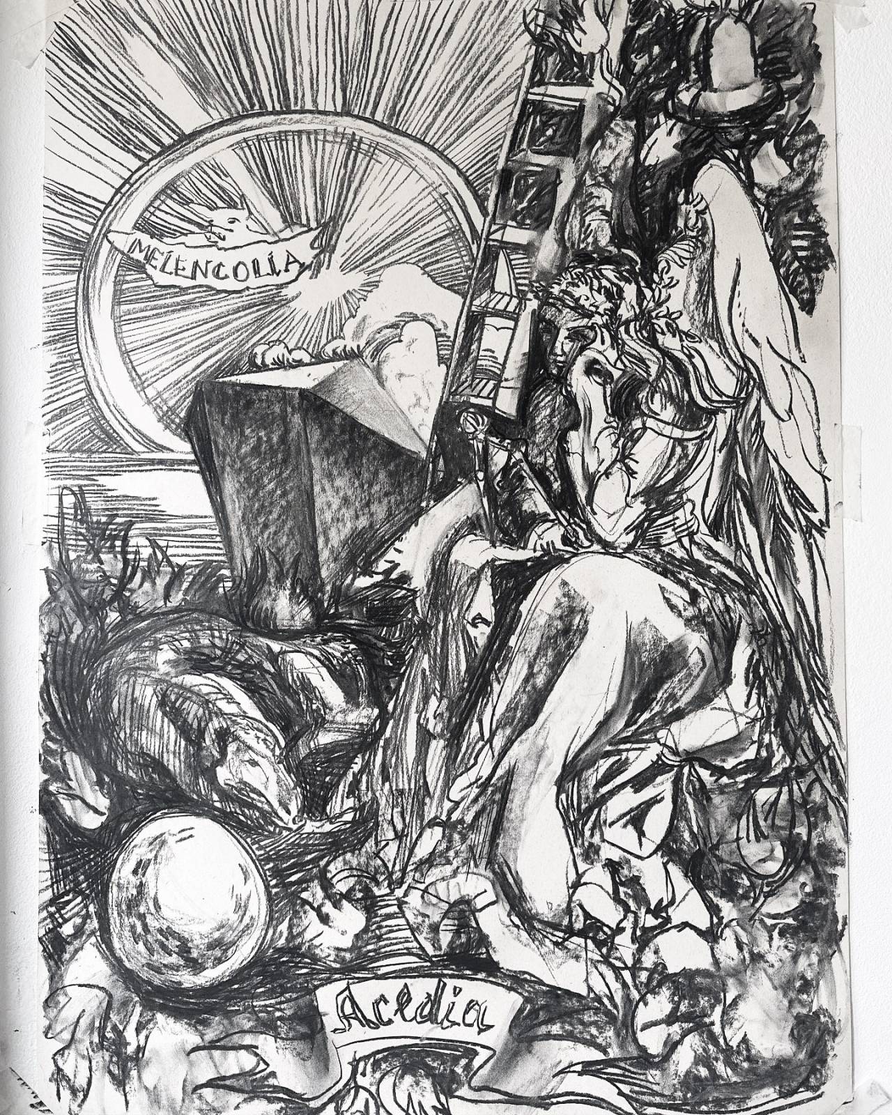 Grupul E T A J artist-run space traversează pentru prima dată Oceanul, în căutarea visului american 3 Ilina SCHILERU acedia charcoal on paper