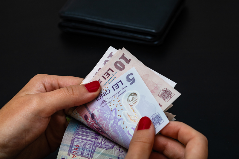 Cât se câștigă în domeniile care ar putea rămâne fără facilități fiscale din toamnă