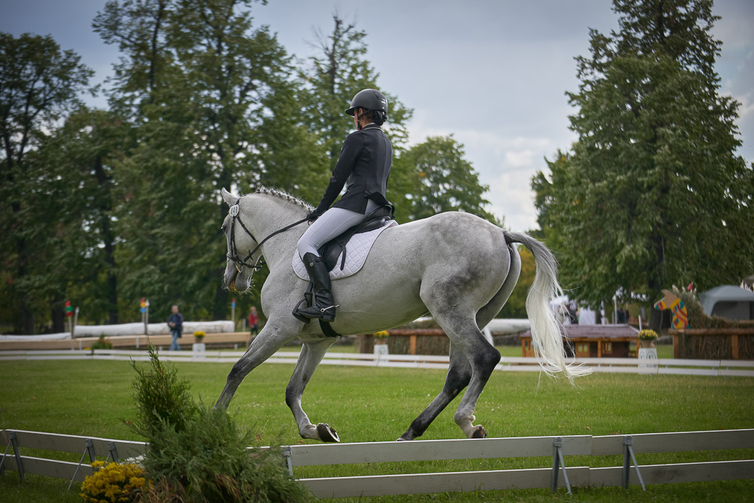 Karpatia Horse Show, între 22-24 septembrie pe Domeniul Cantacuzino