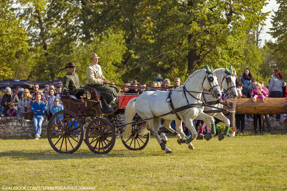 Cifre record pentru Karpatia Horse Show 2023