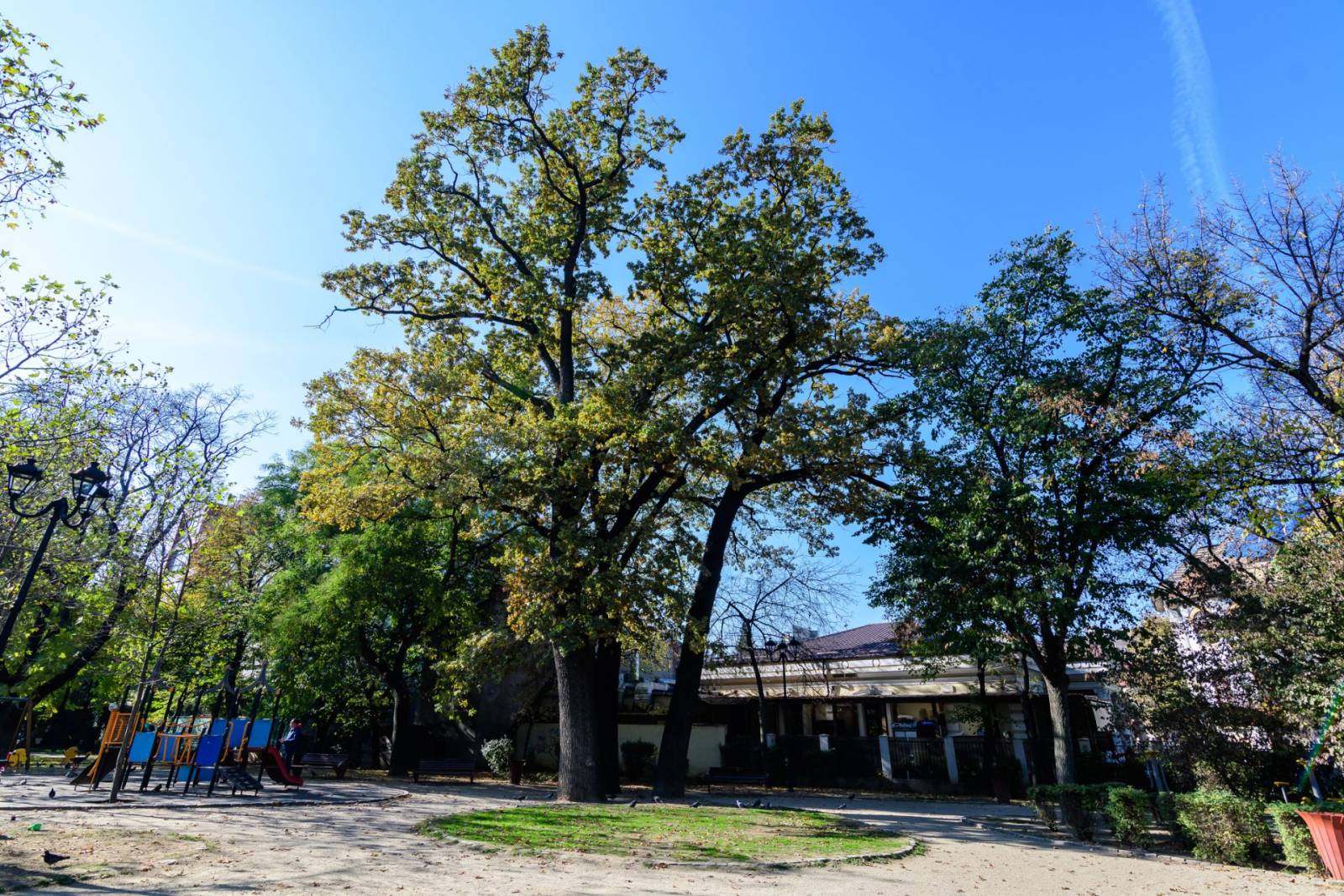 Om cu Om – Festival de Cartier aduce împreună locuitorii din cartierele Buzești, Icoanei și Mântulea...