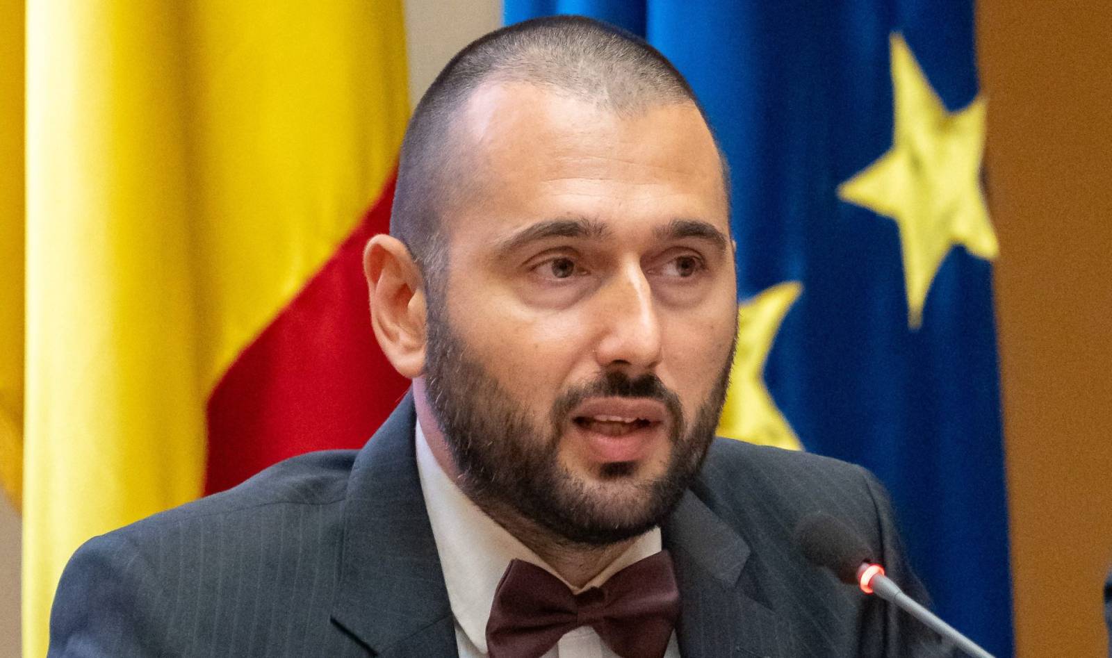 Filip Petcu, Muzeul Național de Artă Timișoara: Brâncuși, partea nevăzută