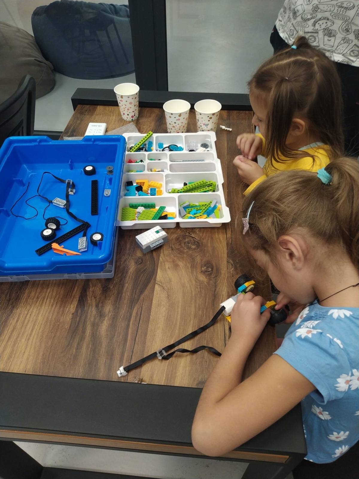 LittleHackers Causeni